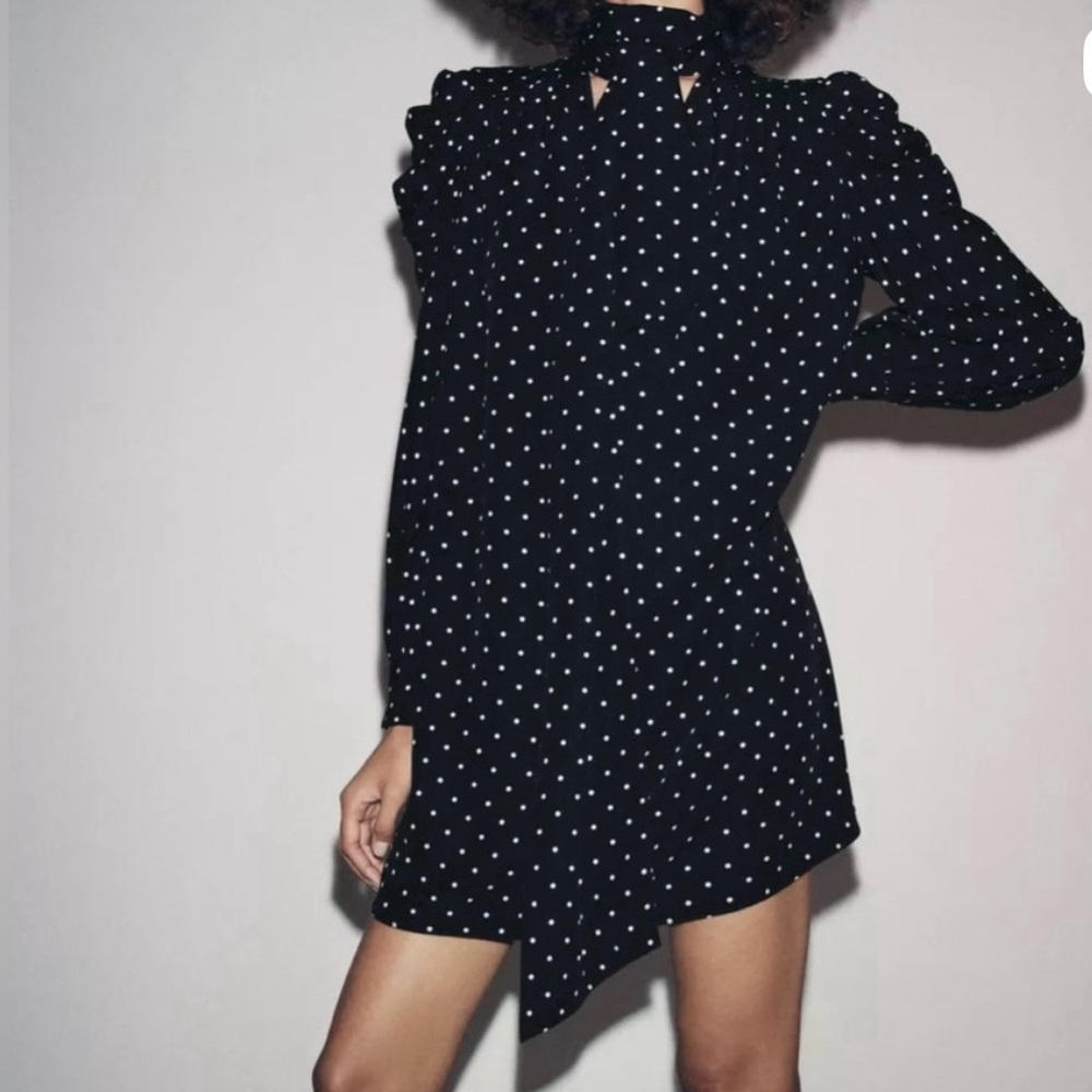 Black Polka Dot Dress- Zara